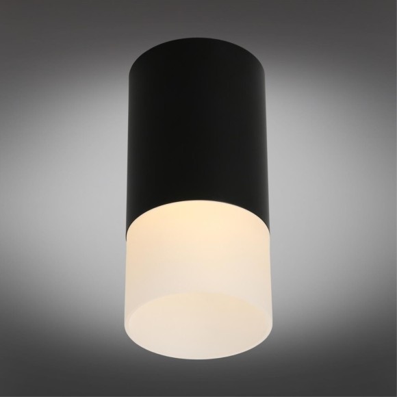 Точечный светильник 100 OML-100619-01