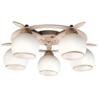 Потолочная люстра Fronteira OML-50517-05