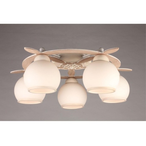 Потолочная люстра Fronteira OML-50517-05