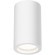 Потолочный светильник Technical C003CW-01W-1