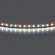 Лента холодного белого свечения 24V Lightstar Lightstar 420805