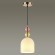 Подвесной светильник с 1 плафоном Lumion 4589/1A GILLIAN под лампу 1xE27 60W
