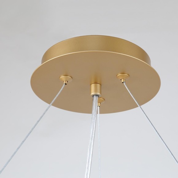 Подвесная люстра Ginkoa 4080-10P