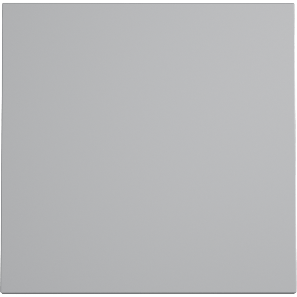 Клавиша для выключателя/переключателя одноклавишного, S70 (серый)