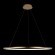10014XL Подвесной светильник LOFT IT Ring