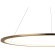 10014XL Подвесной светильник LOFT IT Ring