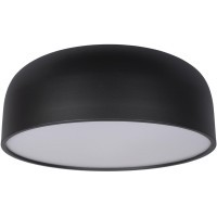 10201/480 Black Потолочный светильник LOFT IT Axel