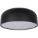 10201/480 Black Потолочный светильник LOFT IT Axel