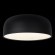 10201/480 Black Потолочный светильник LOFT IT Axel