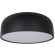 10201/480 Black Потолочный светильник LOFT IT Axel