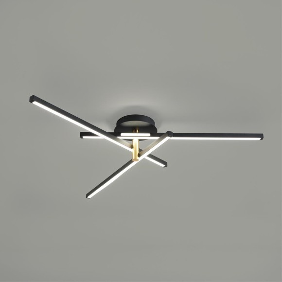 Потолочный светильник LUMION PARKER 6547/56CL