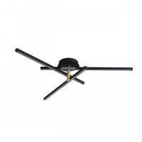 Потолочный светильник LUMION PARKER 6547/56CL