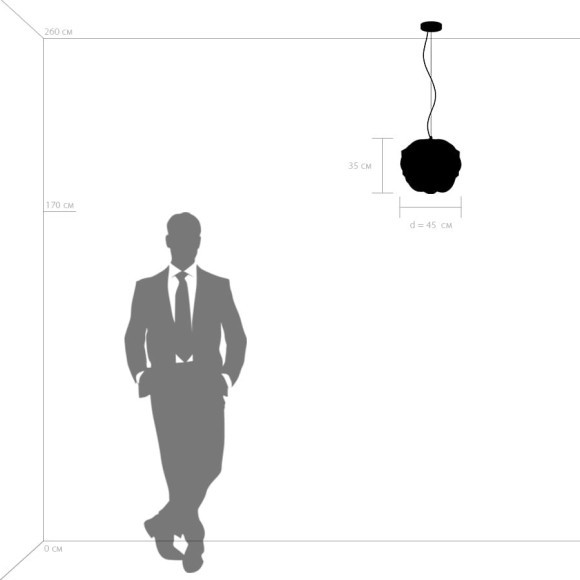 Подвес Erbareo Lightstar 799020