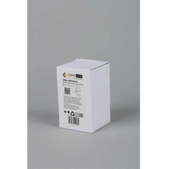 Точечный светильник 100 OML-100709-01