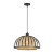 Подвесной светильник Arte Lamp WOODSTOCK A7071SP-1BK