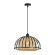 Подвесной светильник Arte Lamp WOODSTOCK A7071SP-1BK