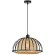 Подвесной светильник Arte Lamp WOODSTOCK A7071SP-1BK
