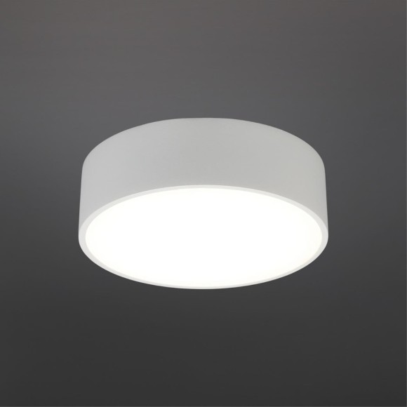 Светильник настенно-потолочный APL.0114.09.12