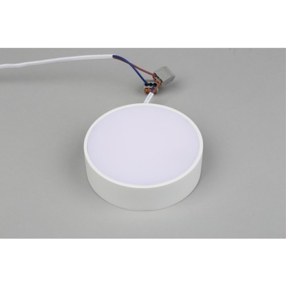 Светильник настенно-потолочный APL.0114.09.12