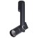 Спот LED 4000K 1100Lm Arte Lamp ORION A2514PL-1BK