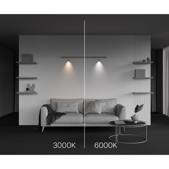 Светильник Technical C102CL-3W3-6K-BS