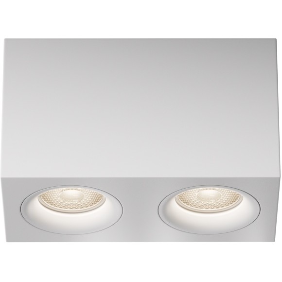 Потолочный светильник Technical C013CL-02W