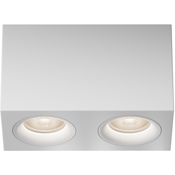 Потолочный светильник Technical C013CL-02W