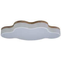 10005/36 White Потолочный светильник LOFT IT Axel