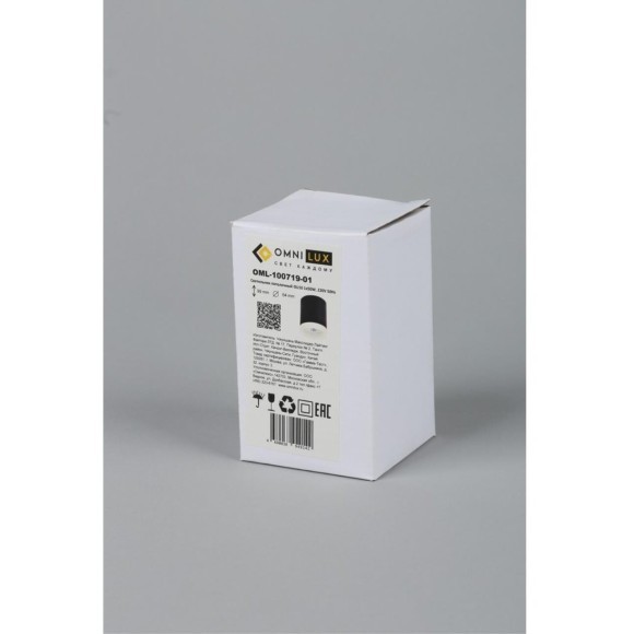 Точечный светильник 100 OML-100719-01 Точечный светильник 100 OML-100719-01