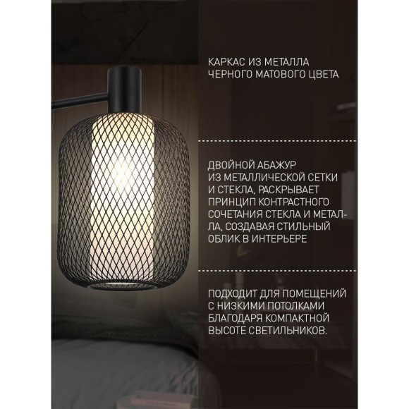 Потолочная люстра Tokri 4602-6C