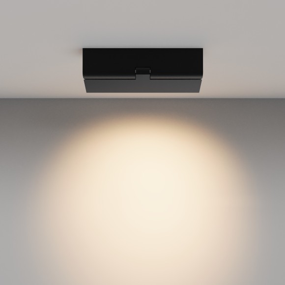 Потолочный светильник Technical C136CL-12W3K-B