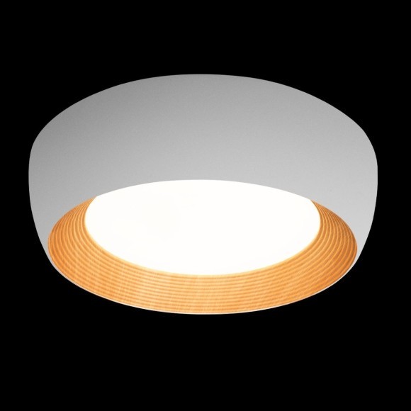 10255/500 White Потолочный светильник LOFT IT Folk 10255/500 White Потолочный светильник LOFT IT Folk