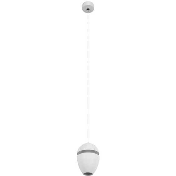 10336 White Подвесной светильник LOFT IT Viterbo