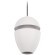 10336 White Подвесной светильник LOFT IT Viterbo
