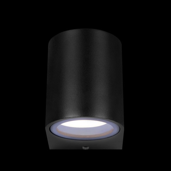 100006/A Уличный светильник LOFT IT Eterno 100006/A Уличный светильник LOFT IT Eterno