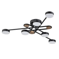 Потолочная люстра LED 3000-6400K 3000Lm Arte Lamp TAYGETA A2455PL-6BK