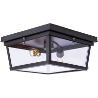 LOFT3110-2C Потолочный светильник LOFT IT Modern filament
