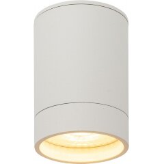 Точечный светильник DK2000 DK2050-WH Точечный светильник DK2000 DK2050-WH