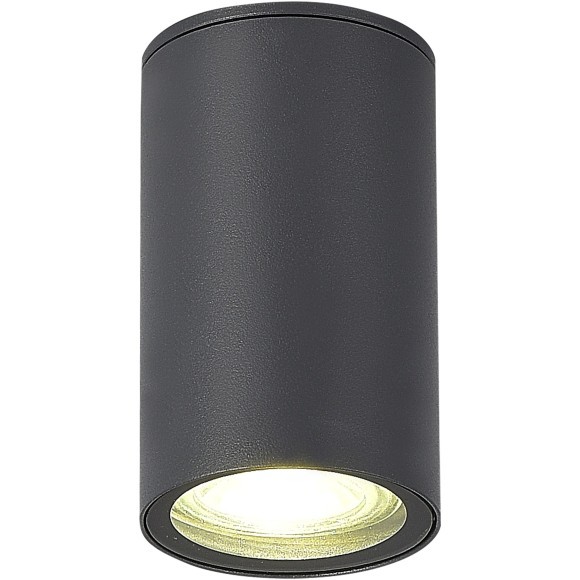 SL9010.712.01 Светильник уличный потолочный ST-Luce серый/белый GU10 1*50W TUBO