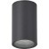 SL9010.712.01 Светильник уличный потолочный ST-Luce серый/белый GU10 1*50W TUBO