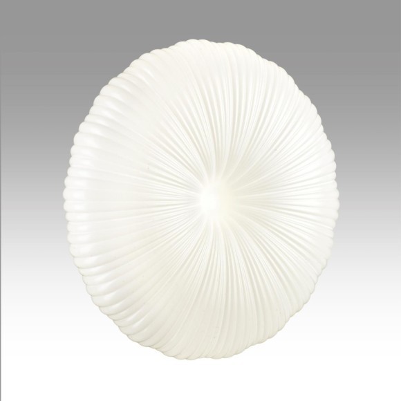 Настенно-потолочный светильник СОНЕКС Sonex ANIX 7678/FL