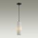 Подвесной светильник с 1 плафоном Odeon Light 5017/1 Pimpa под лампу 1xE14 40W Подвесной светильник с 1 плафоном Odeon Light 5017/1 Pimpa под лампу 1xE14 40W