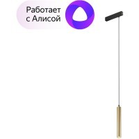 DK8008-BG Трековый магнитный светодиодный SMART (TUYA, Алиса, Wi-Fi, пам. настроек) светильник Denkirs SMART 220V CRI90+ 2700-6000К 770Лм 24° 9Вт