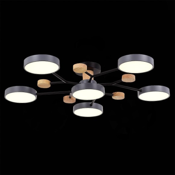 SLE6006-702-06 Светильник потолочный Серый/Серый LED 6*12W 3000K/4500K/6000K FAEMA SLE6006-702-06 Светильник потолочный Серый/Серый LED 6*12W 3000K/4500K/6000K FAEMA
