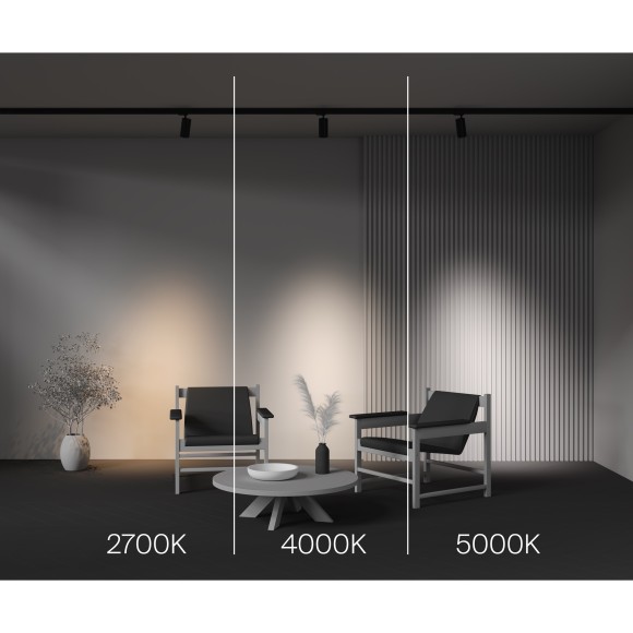 Трековый светильник Technical TR197-3-20WCCT-M-B Трековый светильник Technical TR197-3-20WCCT-M-B