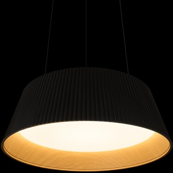 10224P Black Подвесной светильник LOFT IT Evans