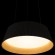 10224P Black Подвесной светильник LOFT IT Evans