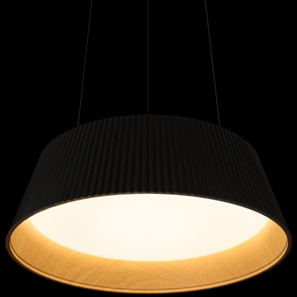 10224P Black Подвесной светильник LOFT IT Evans
