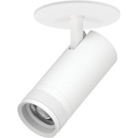 Светильник встраиваемый 20W 1400LM 20-55 град 2700;4000;6000К Canno Pro Lightstar C4206RS