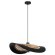 Подвесной светильник Arte Lamp WOODSTOCK A7059SP-1BK